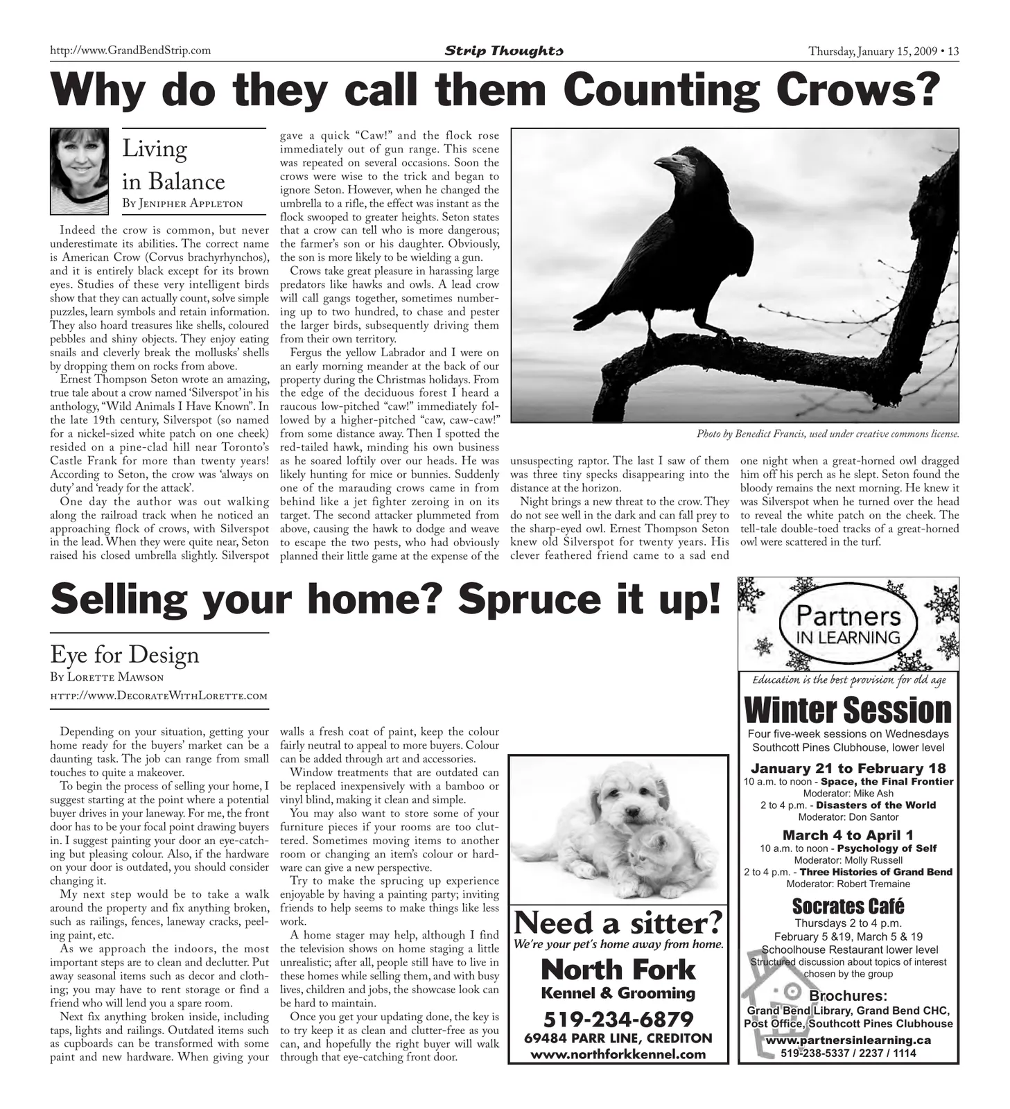 Volume 2, Number 15, page 13 of 16