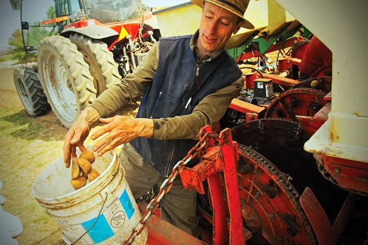 Marcus Koenig, potato grower
